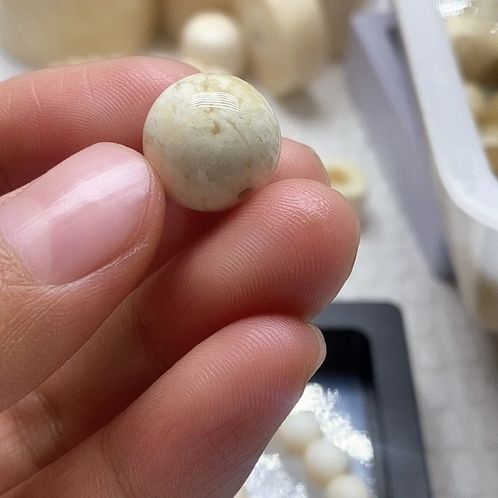 贝壳手串/手链社会牛满花朱子