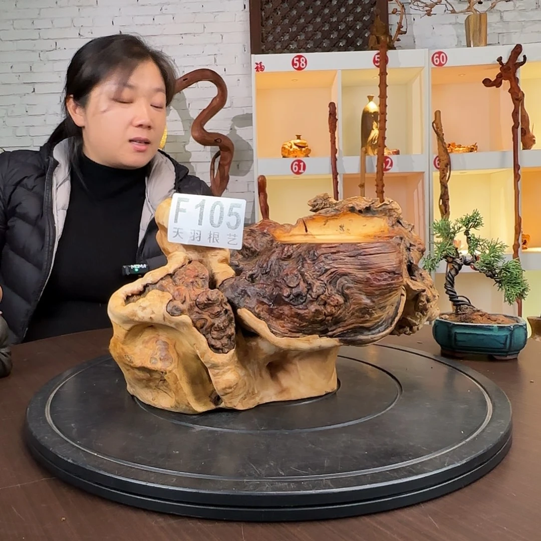 木S****r105云南风化根艺摆件