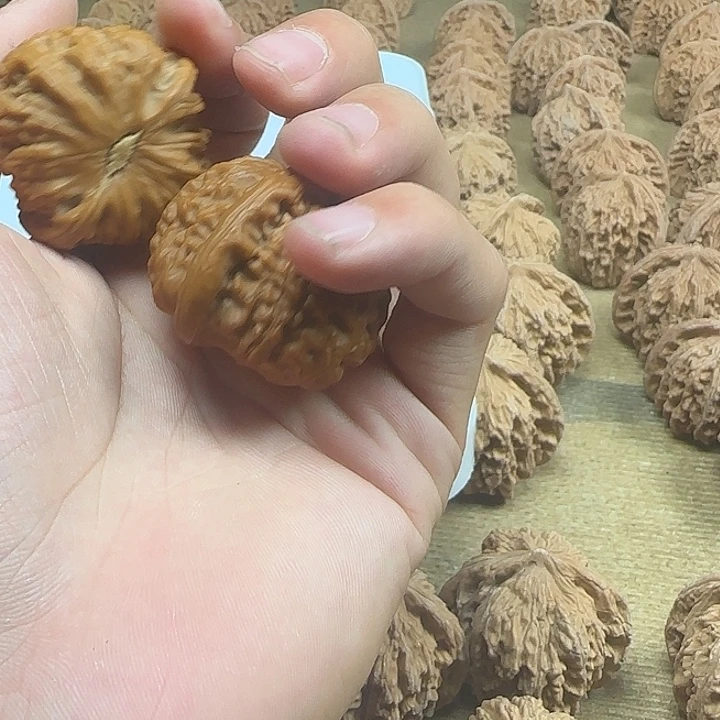 ****‍吊坠龙脊菩提啊啊啊啊啊啊啊啊啊13
