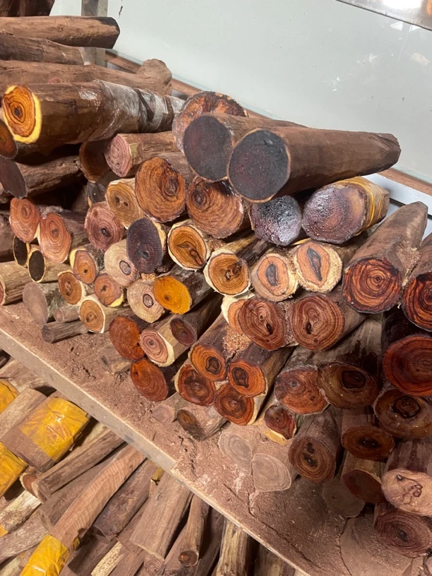 原材料定制鬼脸对眼蜘蛛留疤 工艺品摆件手工