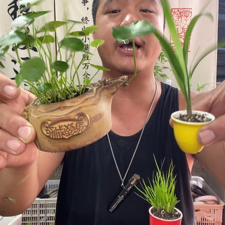 无花朵退款拉黑拉黑20