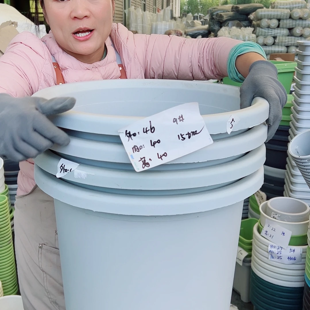 四季盆9#灰白色4个无托