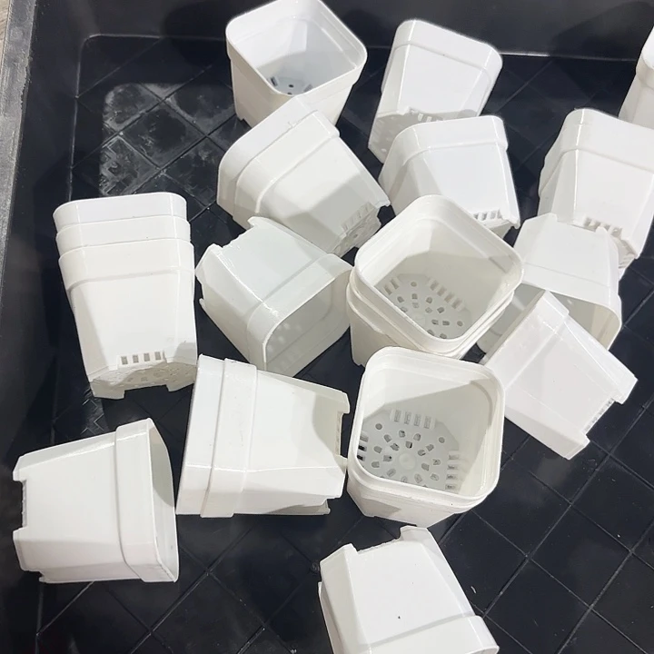 50小白方盆5公分40个