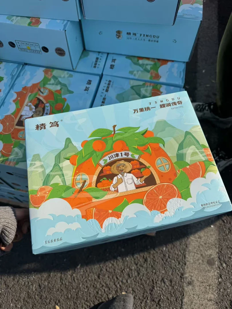 【江浙沪次日达】川津1号 柑橘5斤装果肉细腻应季水果