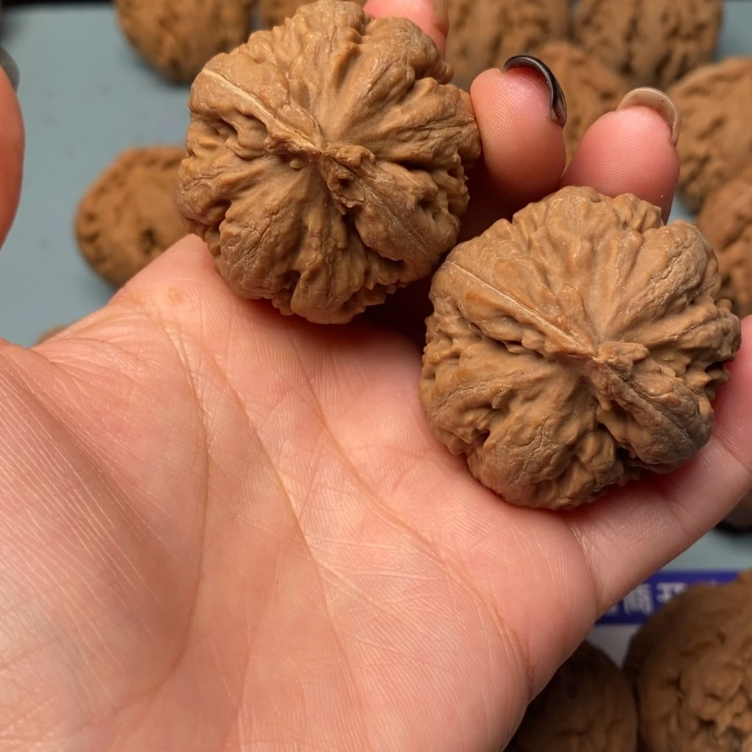 文玩核桃吊坠T***o霸王龙39