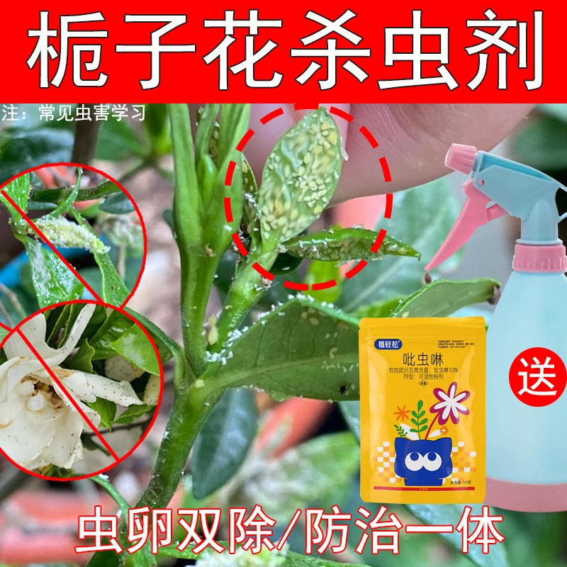 栀子花专用杀虫剂花卉杀虫药盆栽室内家用除虫绿植驱虫花草非杀菌