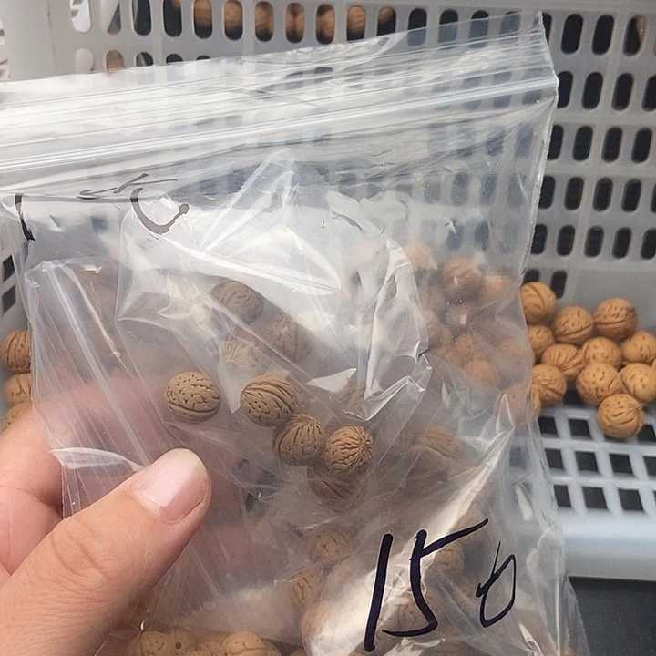 吊坠文玩核桃散籽发货150