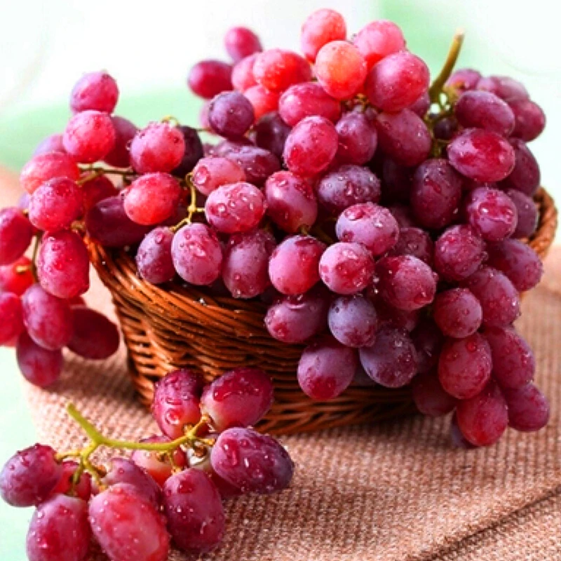 当季澳大利亚无籽红提脆甜多汁新鲜葡萄【顺丰次日达】1~2斤