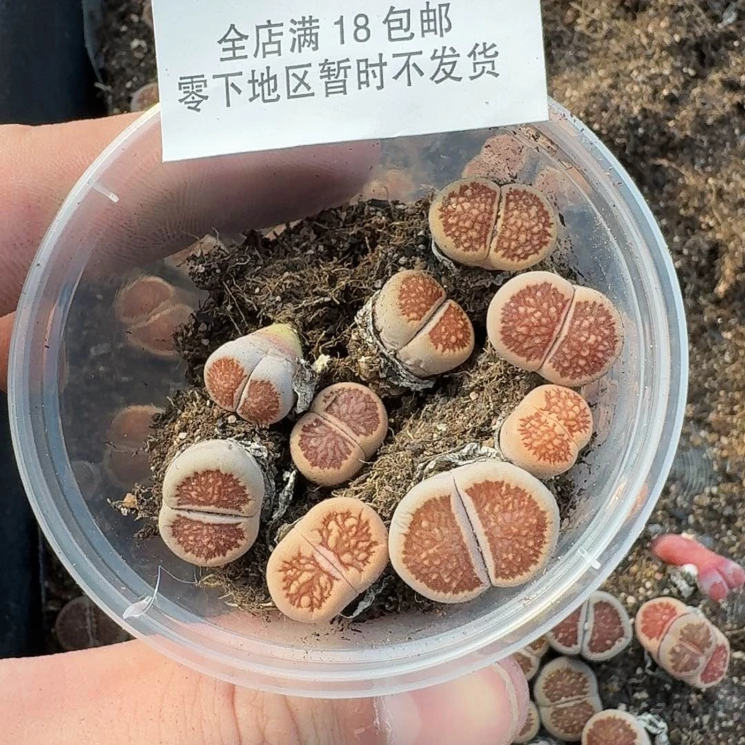 A320哈哈哈哈哈哈哈