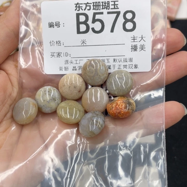 硅化珊瑚（珊瑚玉）颈饰合金