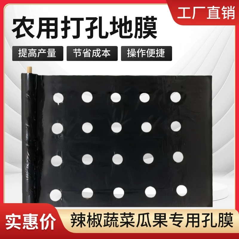 农用加厚打孔黑色地膜除草膜果树园蔬菜大棚玉米种地专用