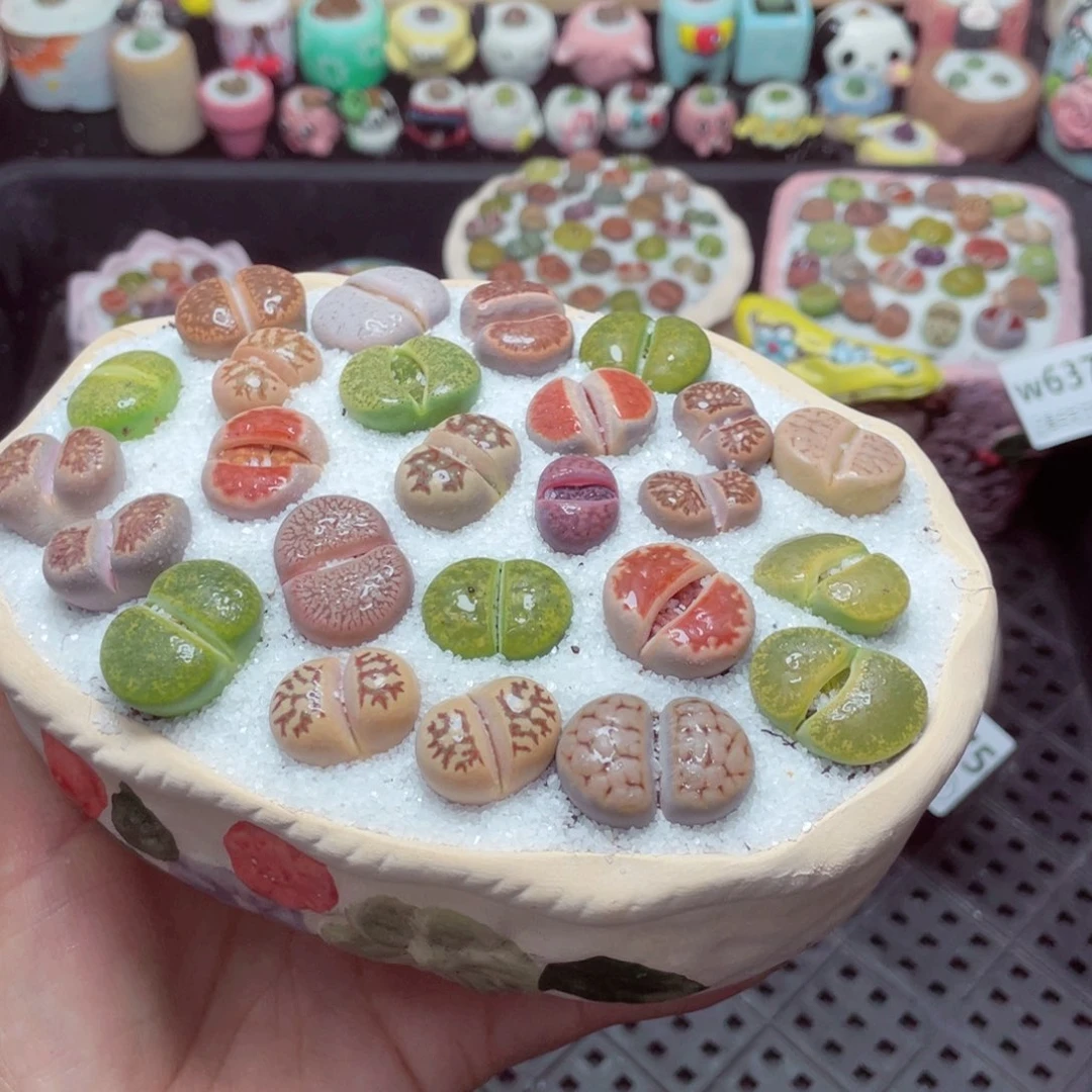 w6359 带盆土发货-零下地区拍保温箱