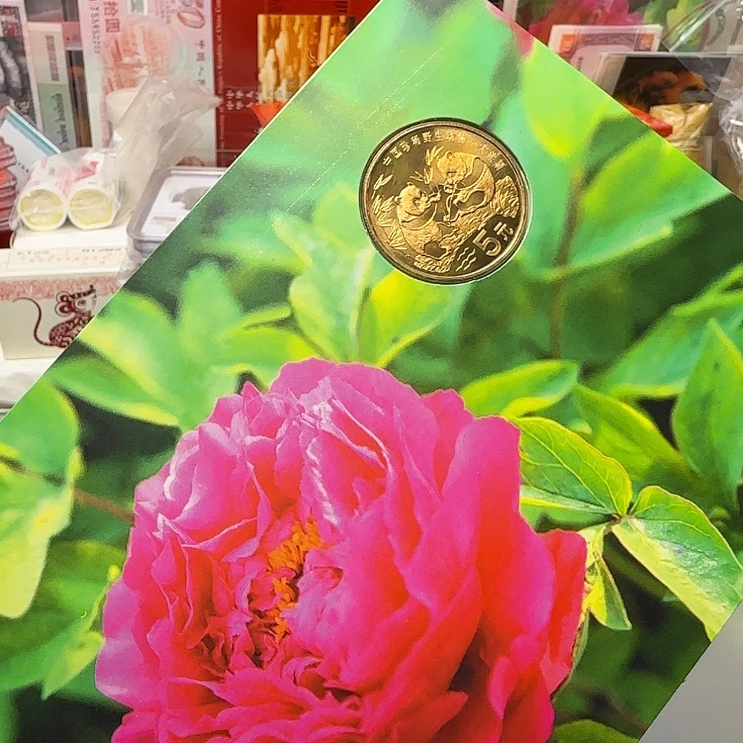 熊猫春卡福利福利出