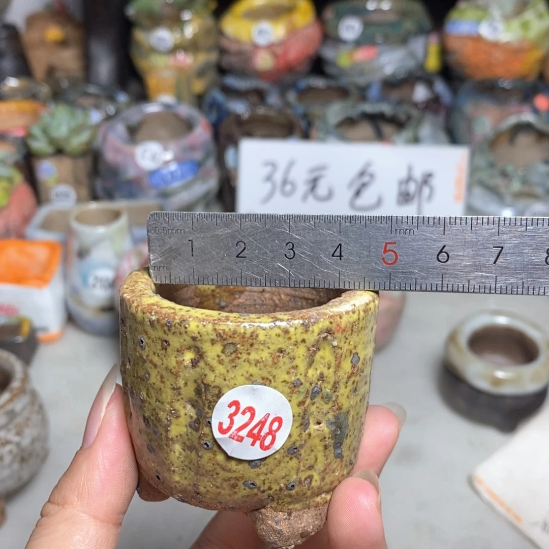 拍3送一个9.9拍5送同款