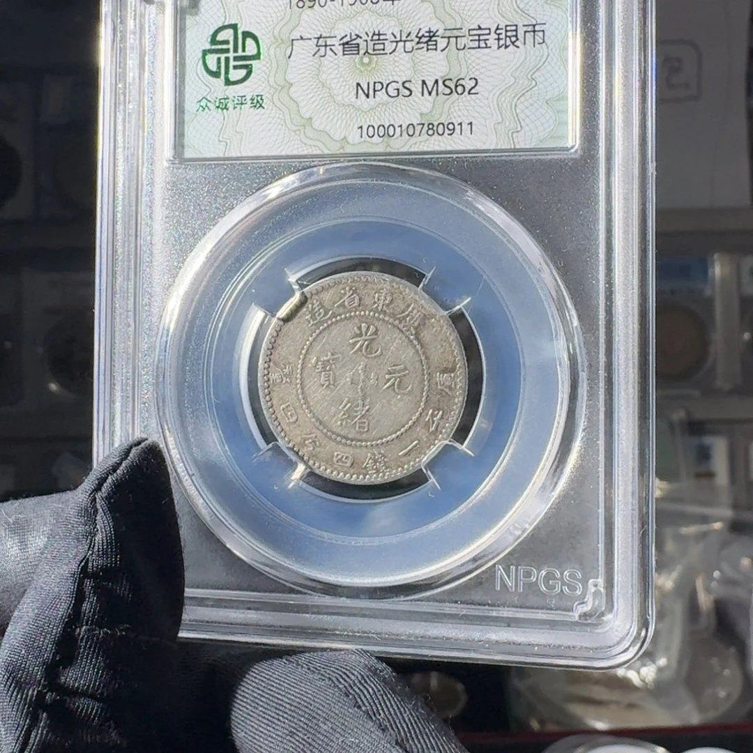 老***衲大叶紫檀（黑酸枝木类）62 广东二角龙一个 小师妹MM127