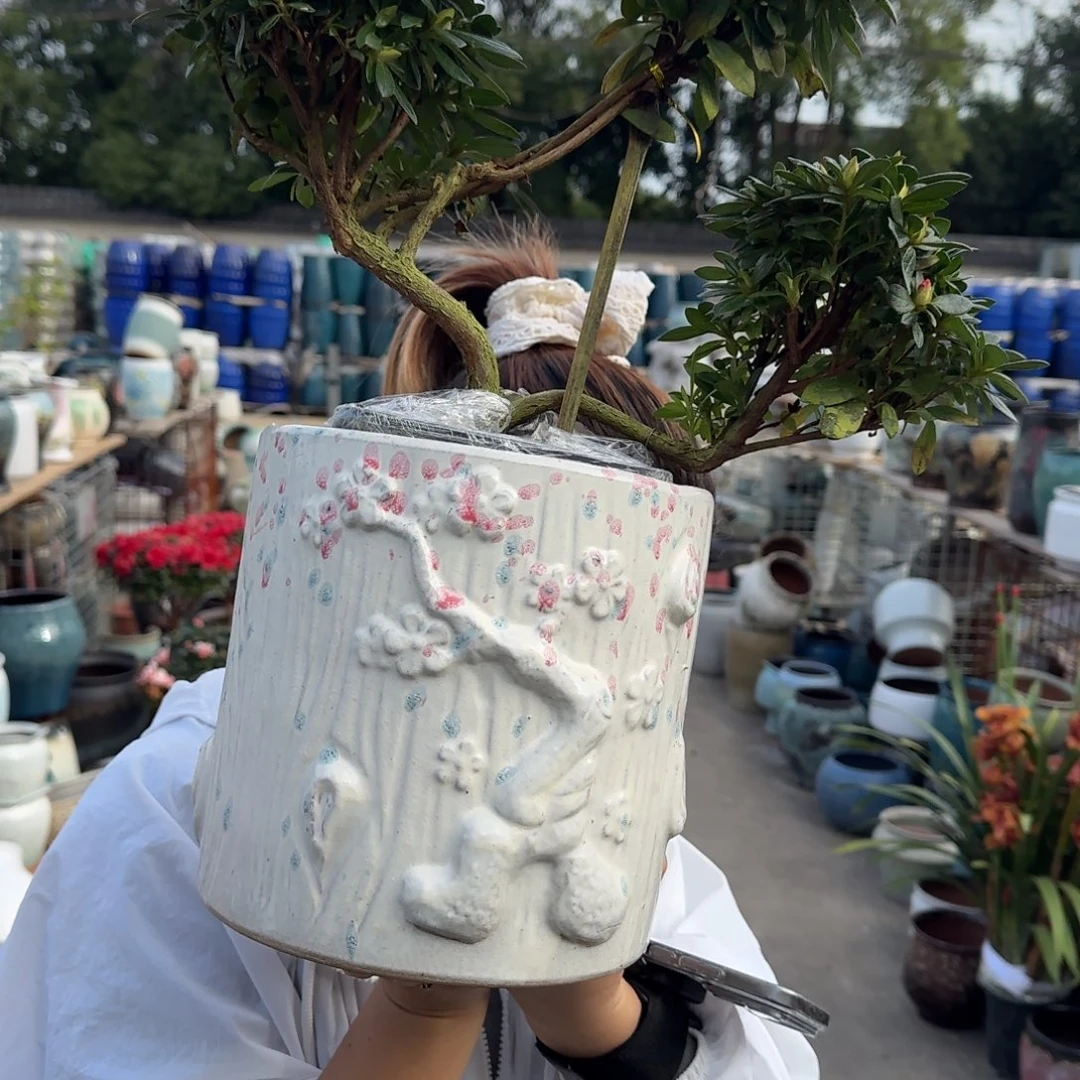 王嫂花盆1111-323高20口20