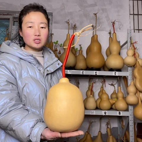 天然植物葫芦文玩