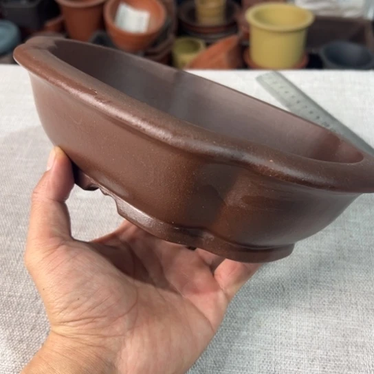 【闪购商品】21，16，5