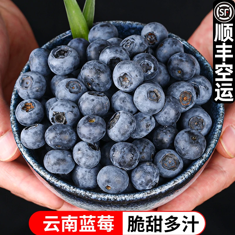 【顺丰空运】云南新鲜蓝莓高山新鲜蓝莓125g/盒