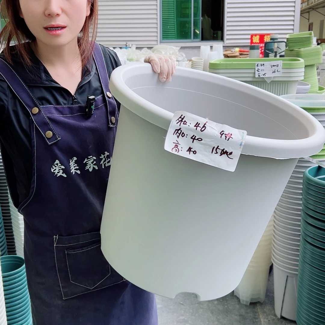 四季盆9#果绿10个无托