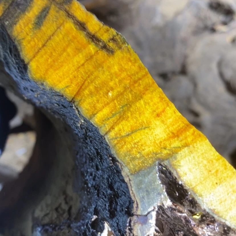 【闪购商品】把件贡木私人订制