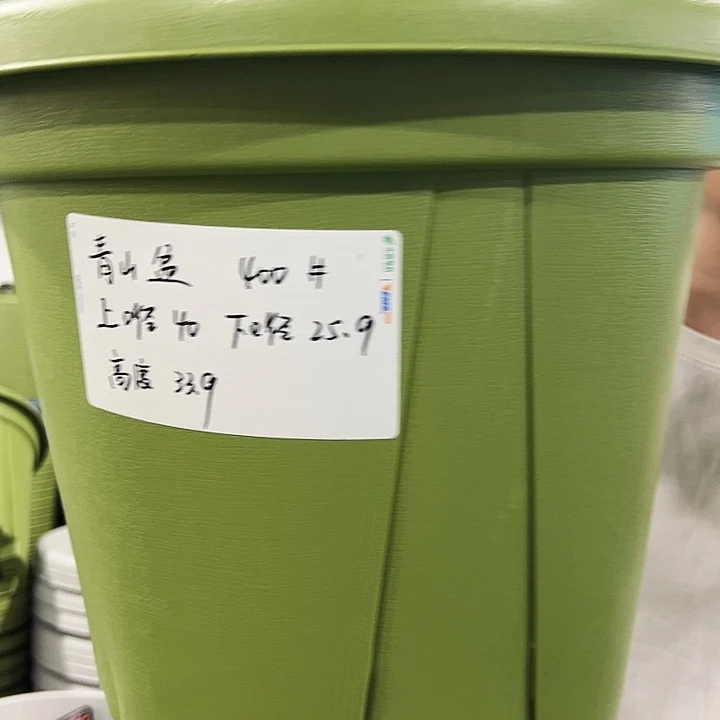 正品青山口40高34果绿无托5只
