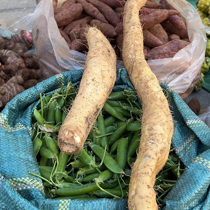 中国大陆野生山药5斤