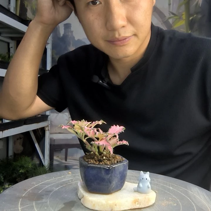 @*好中青园艺一物一拍68