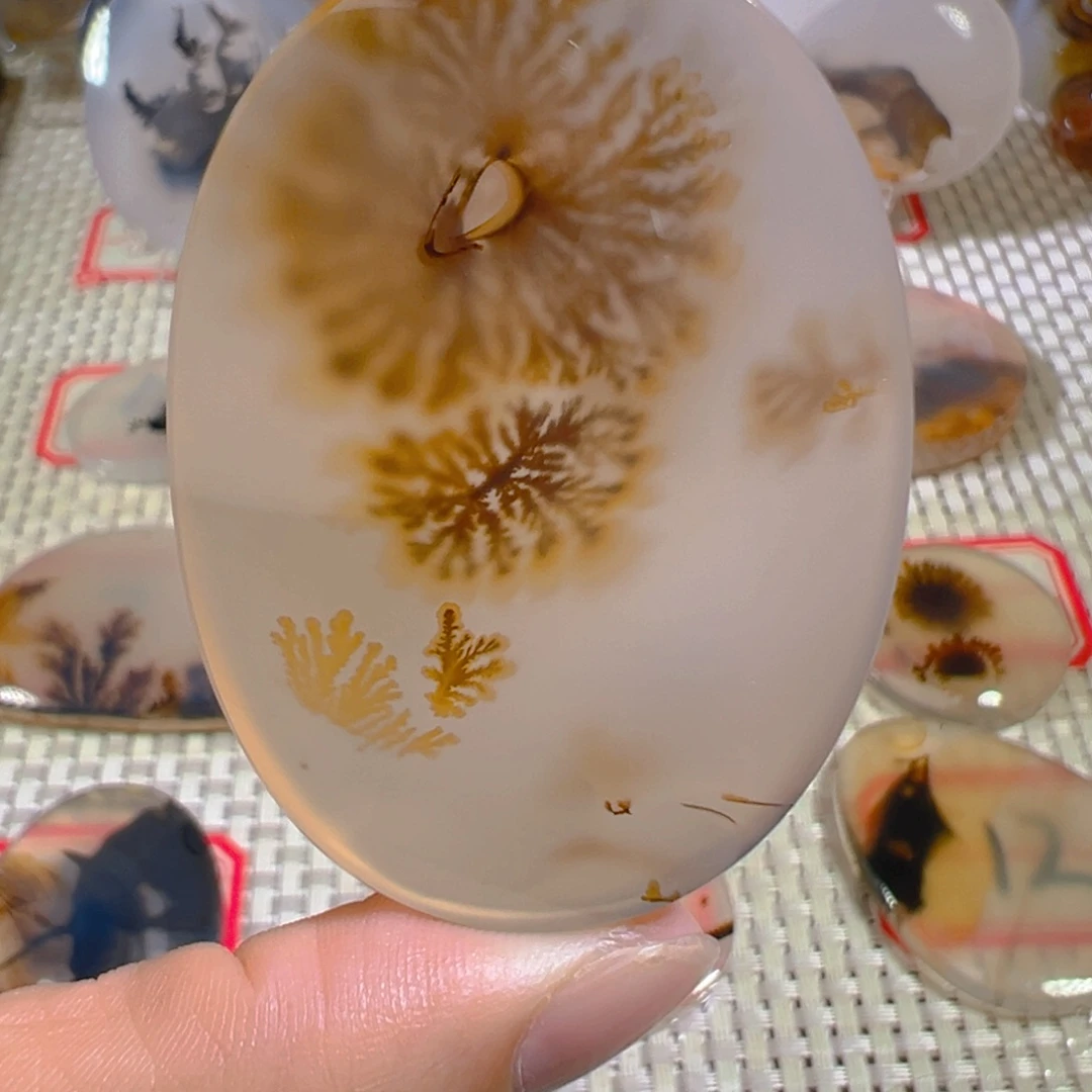 玛瑙/玉髓颈饰未镶嵌