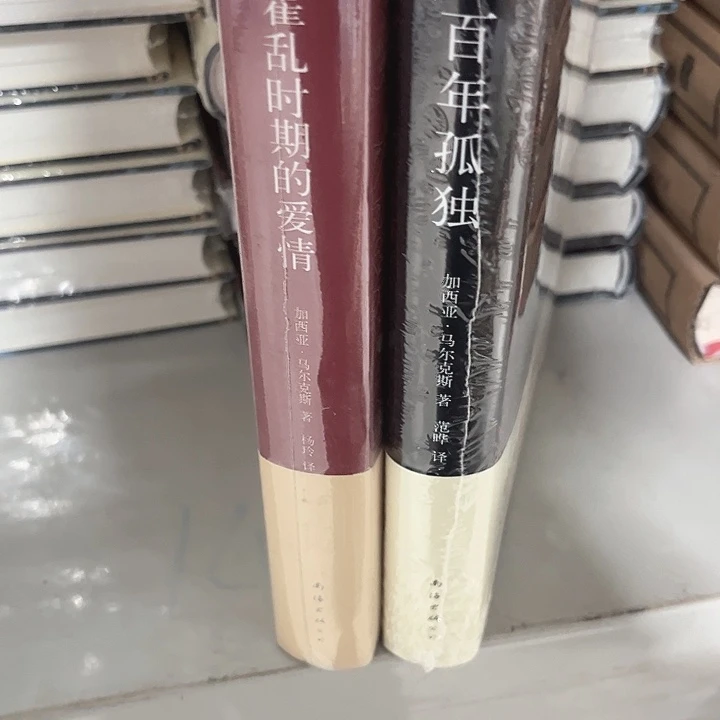 百年孤独，霍乱时期的爱情
