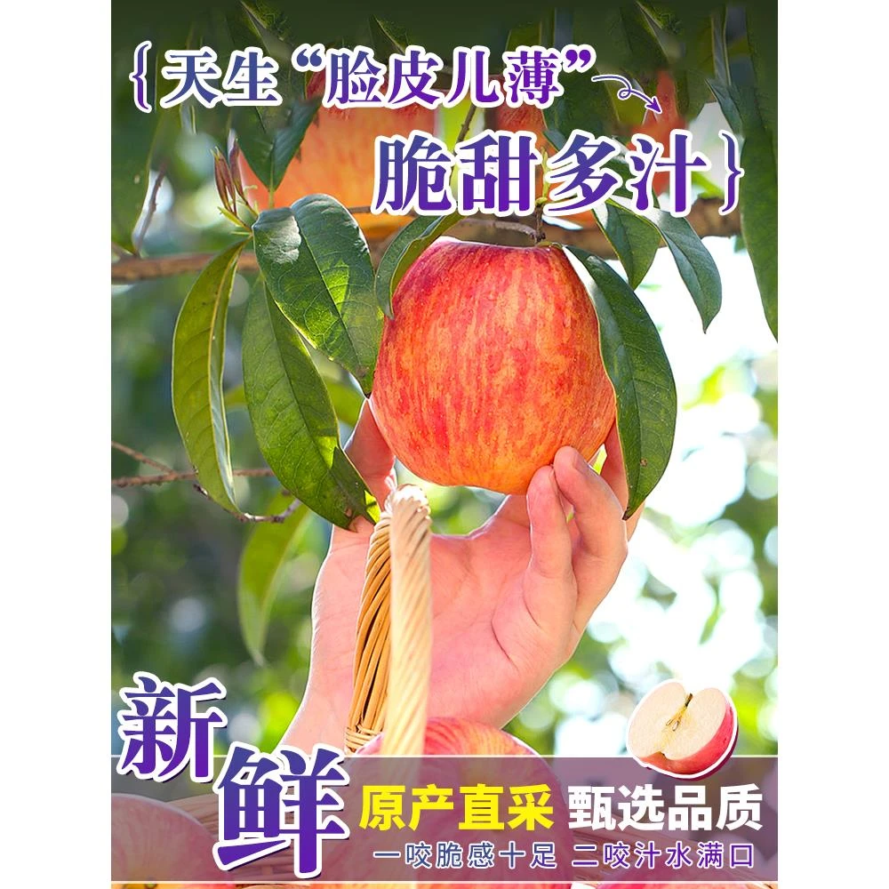 顺丰正宗陕西洛川苹果斤水果新鲜应当季整箱现摘冰糖心红富士