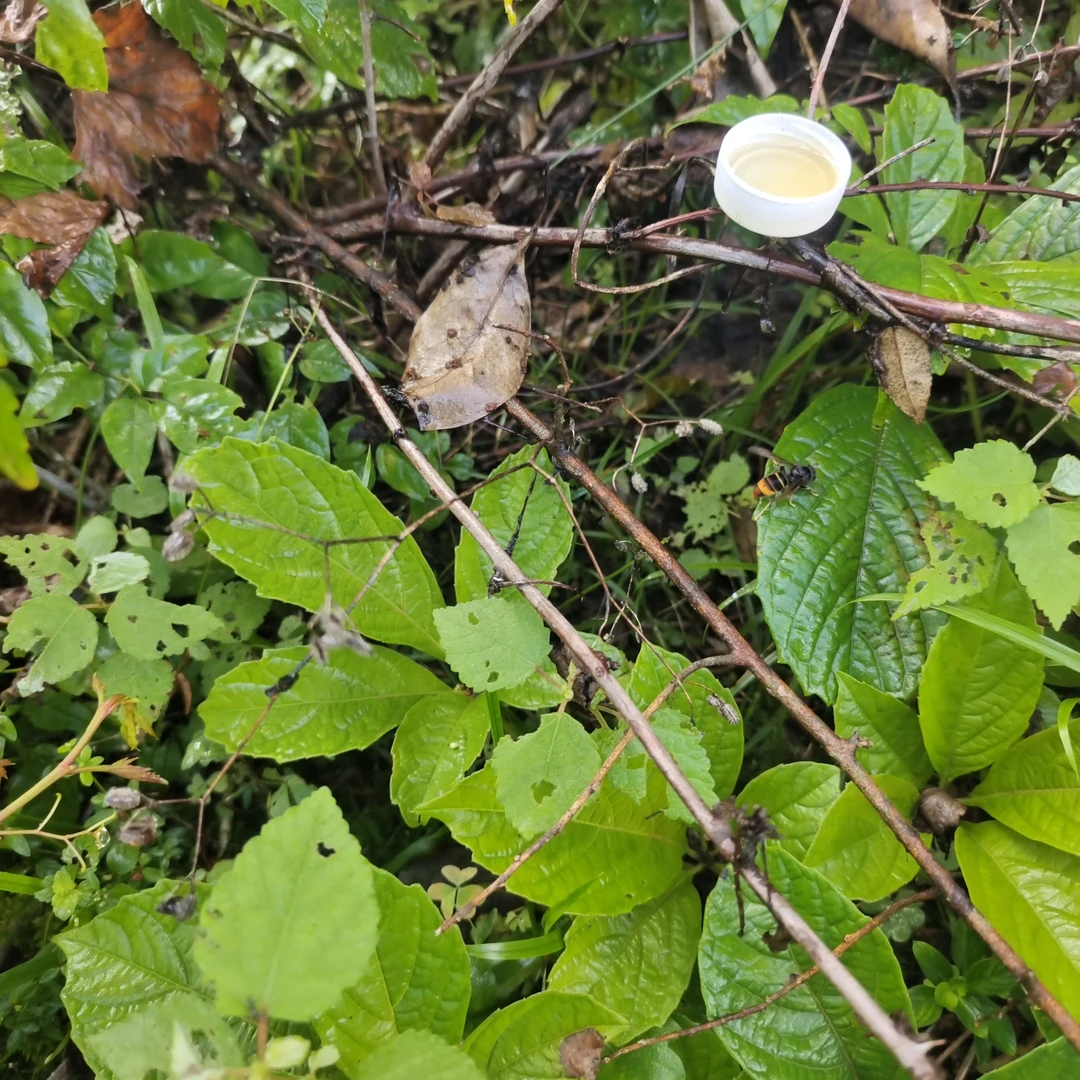 山货： 综合连接（小米）