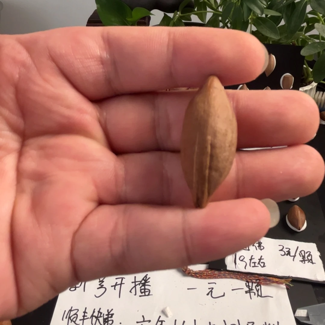 追***6橄榄核手串/手链橄榄核