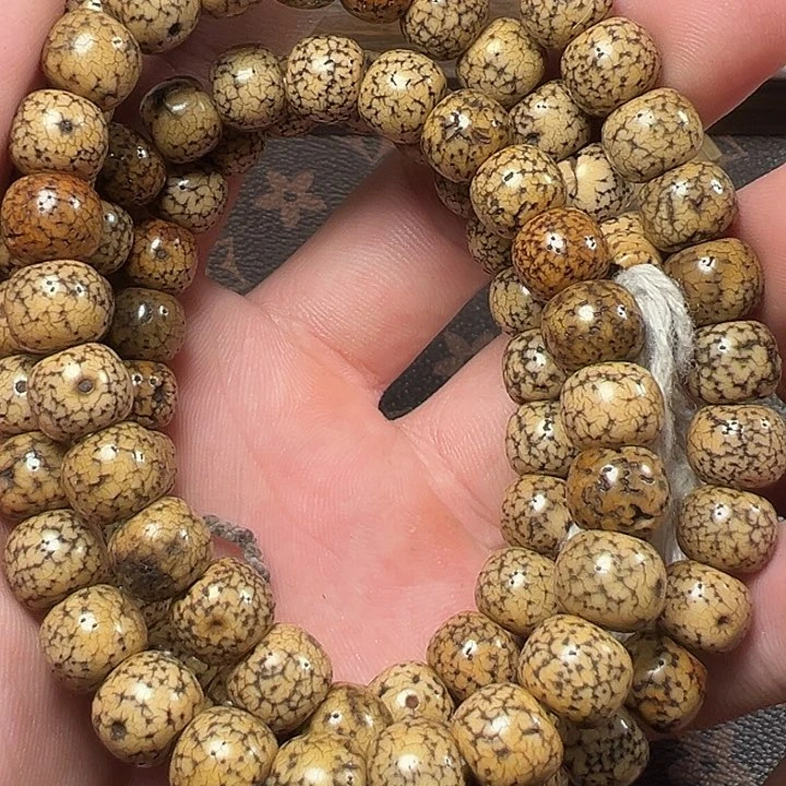 我们都是在这里看到的