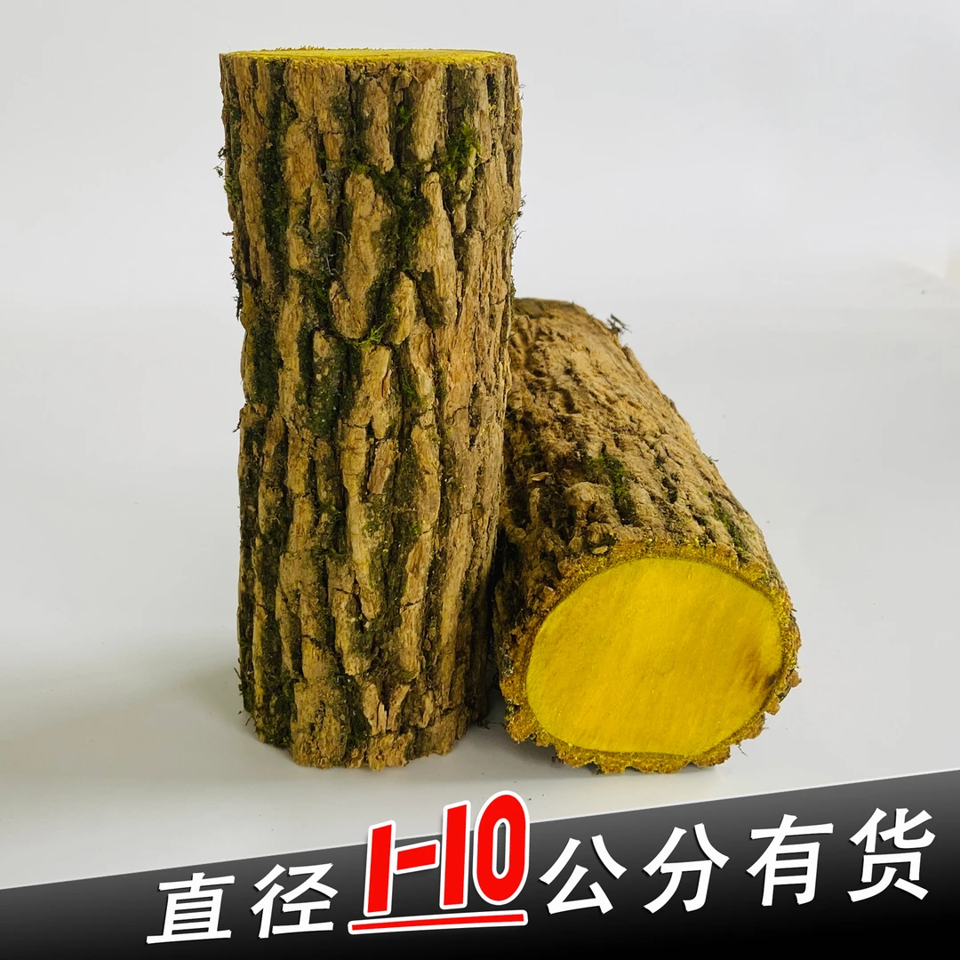 贵州野生十大功劳木中药材无硫整根发货土黄莲刺黄连刺黄苓土黄柏