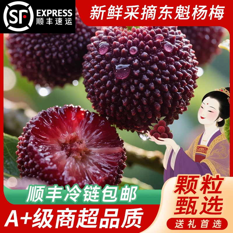 现摘新鲜当季云南大东魁杨梅孕妇水果特大果贡品级颗粒礼盒装空运