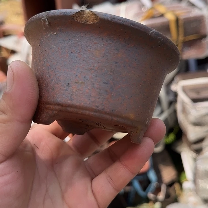 一些有实力却被称为天才