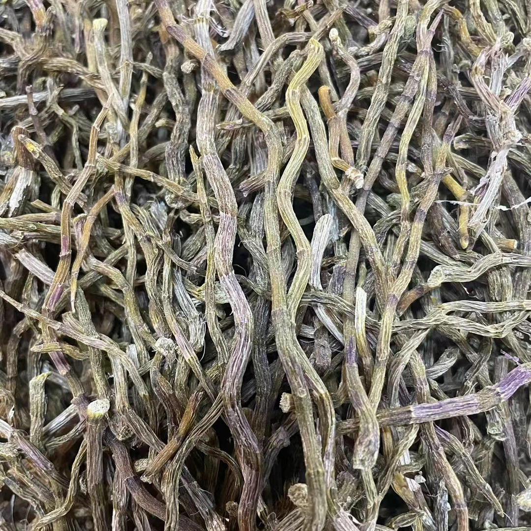 【大海货】铁皮石斛条胶质满