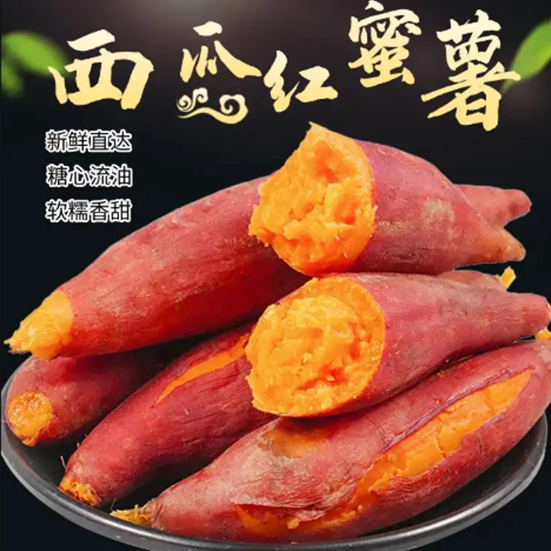 5.5斤 新鲜现挖正宗黄心蜜薯软糯香甜超甜地瓜番薯