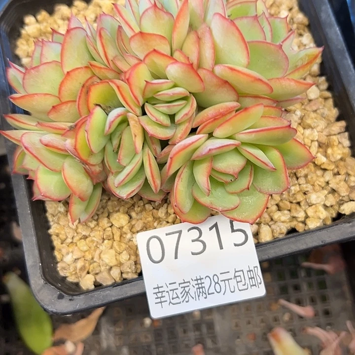 幸运的是我还没遇到