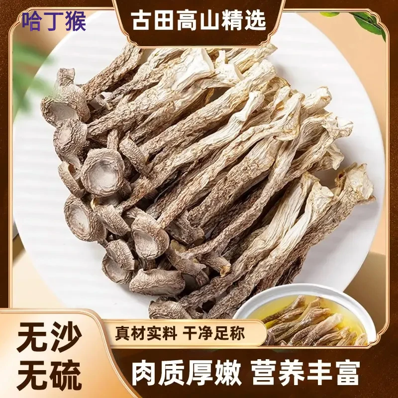 【高山鹿茸菇】正宗精选干货鹿茸菌菇香菇煲汤营养美味肉质厚嫩