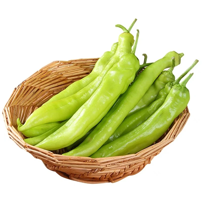 尖椒600±20g/份(200g*3份)