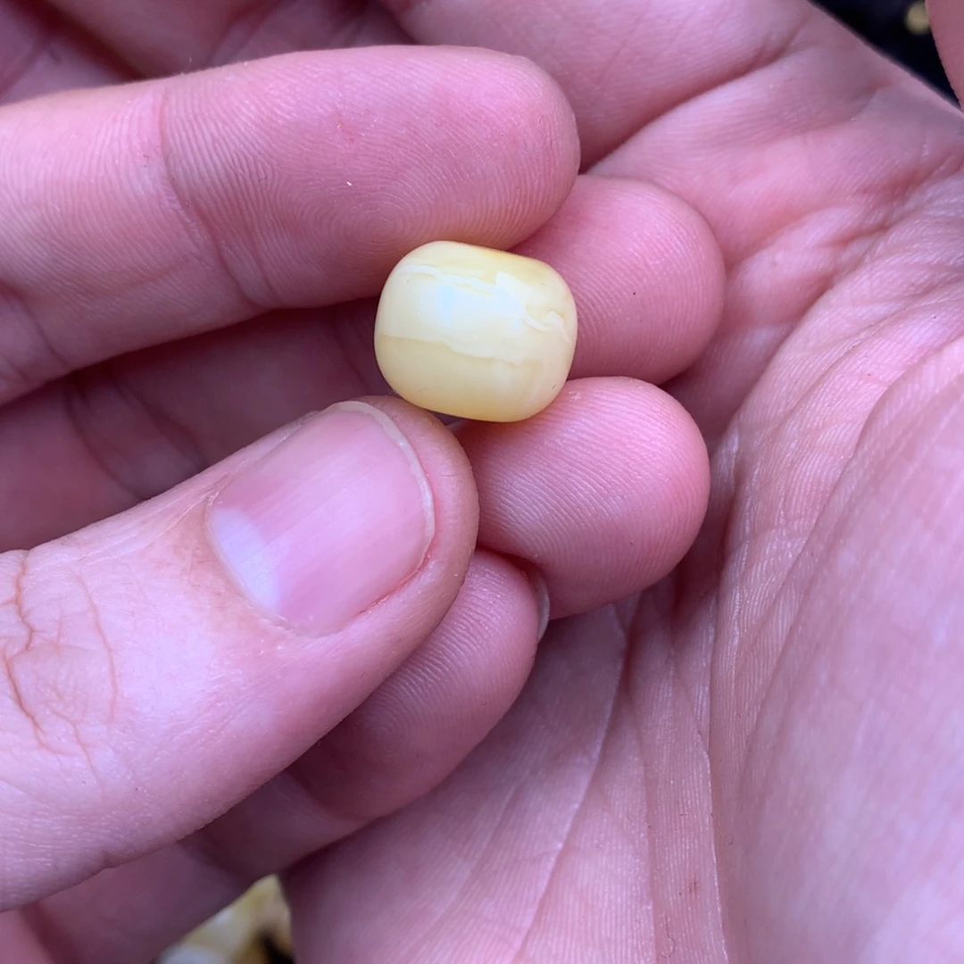 琥珀裸石未镶嵌M****g蜜蜡