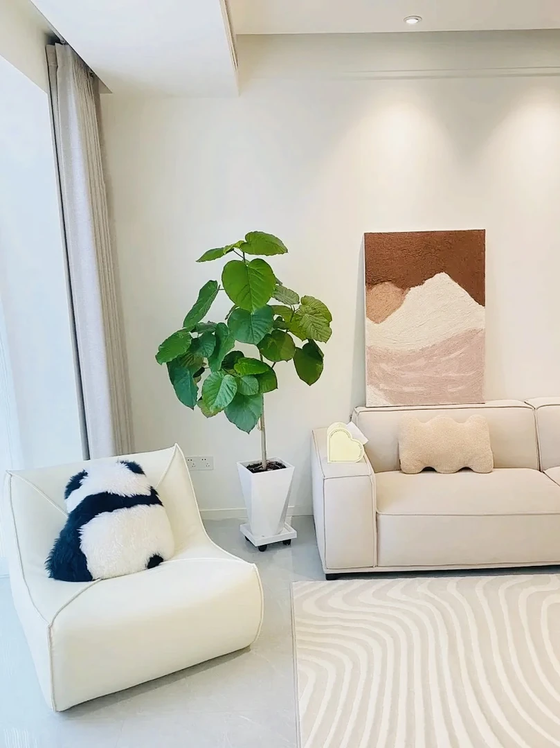 日本网红爱心榕心叶榕伞榕室内阳台观叶植物ins网红植物