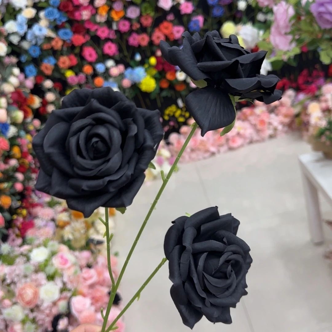 10支包邮 无售后