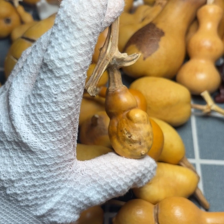 鱼***哥葫芦伤66666666666666