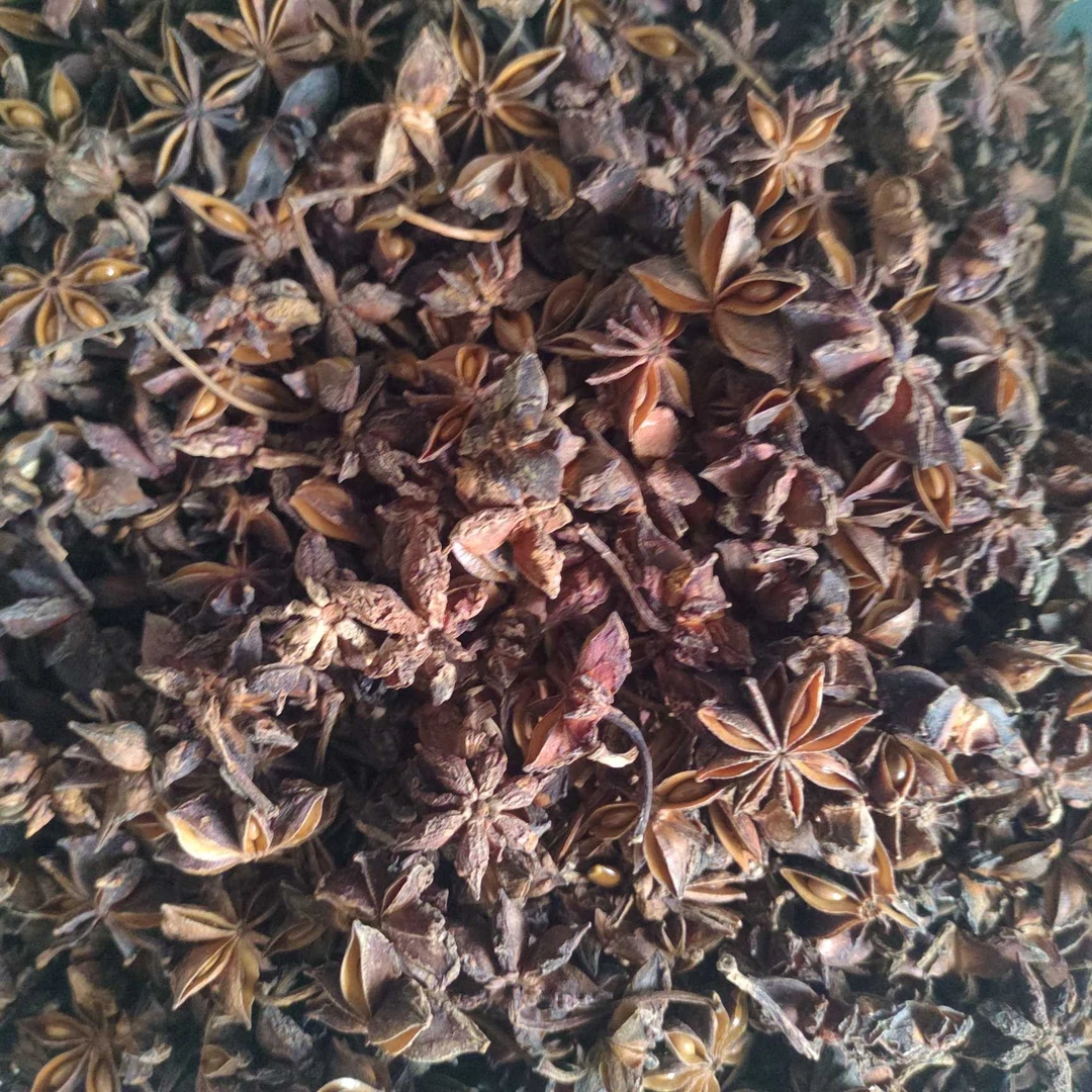 八角广西八角干货50g