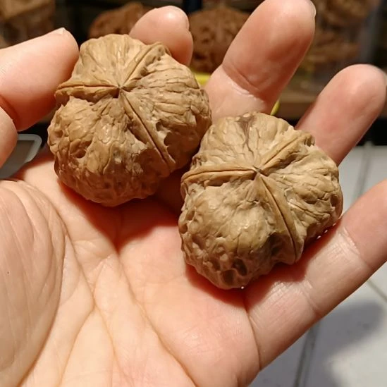 文玩核桃把件6666666666