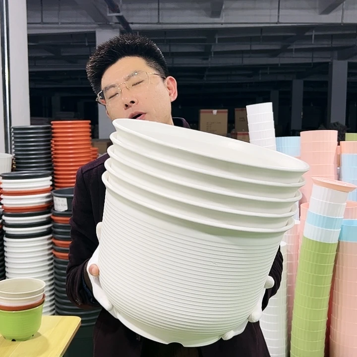 正品矮陶口36高25白色3只无托