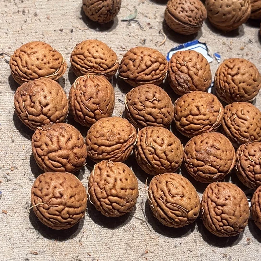 弹***。吊坠桃核卡17的20颗